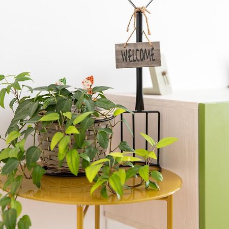 Springhome - Cozy Apartment With Balcony & Parking Brassó Kültér fotó