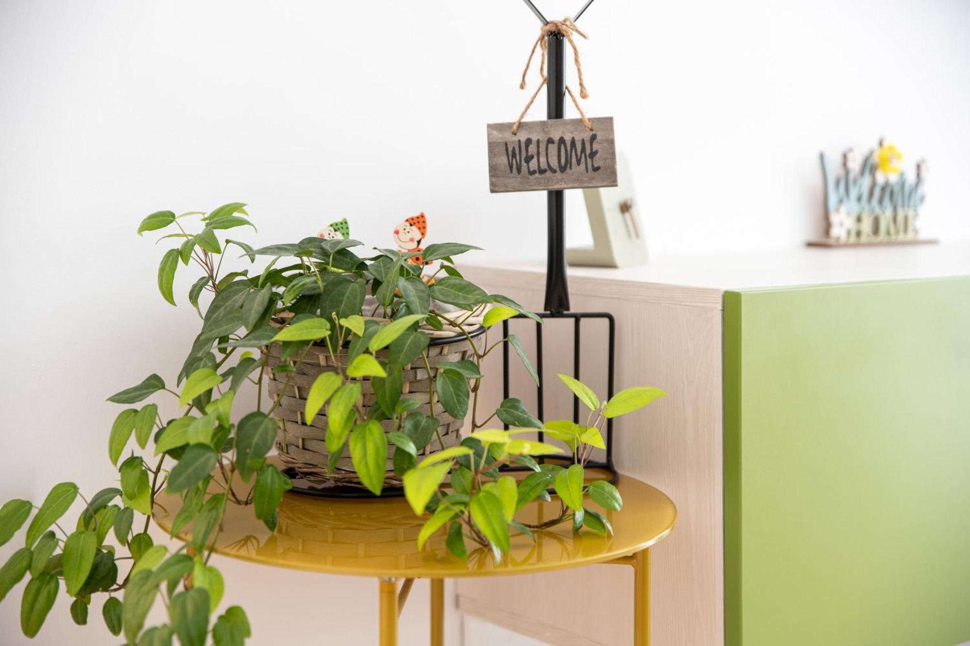 Springhome - Cozy Apartment With Balcony & Parking Brassó Kültér fotó